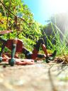 20220819_120637.jpg